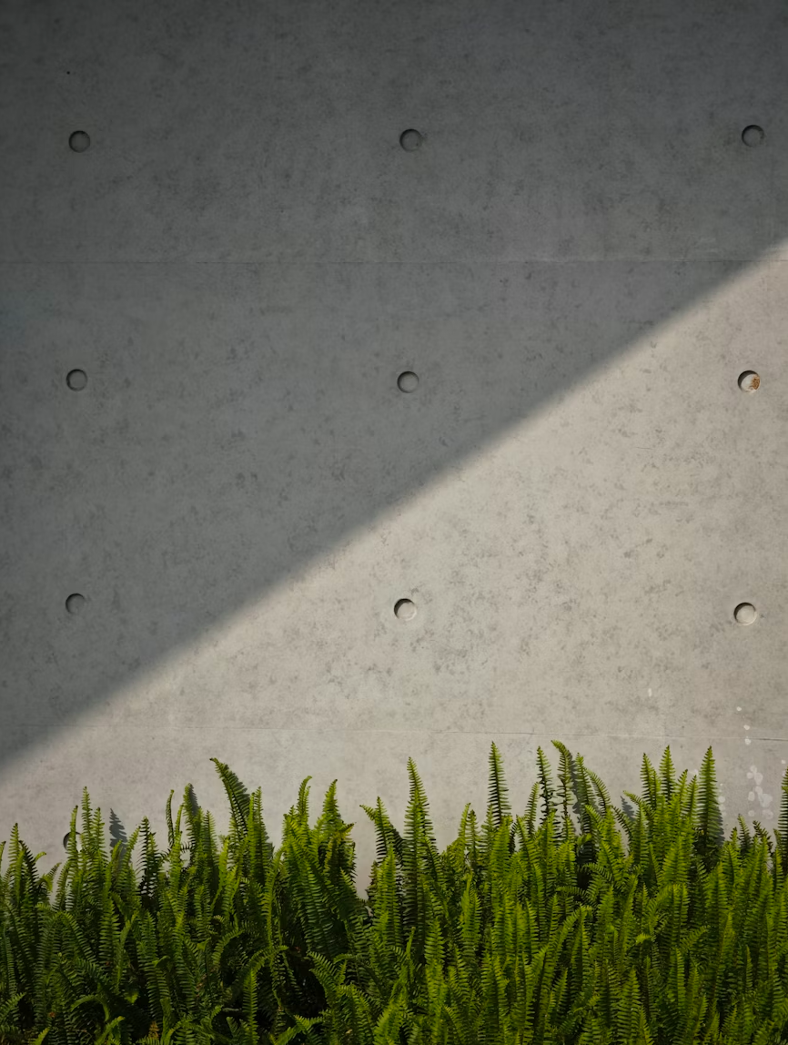 Smooth poured concrete retaining wall with landscaping in Renton WA
