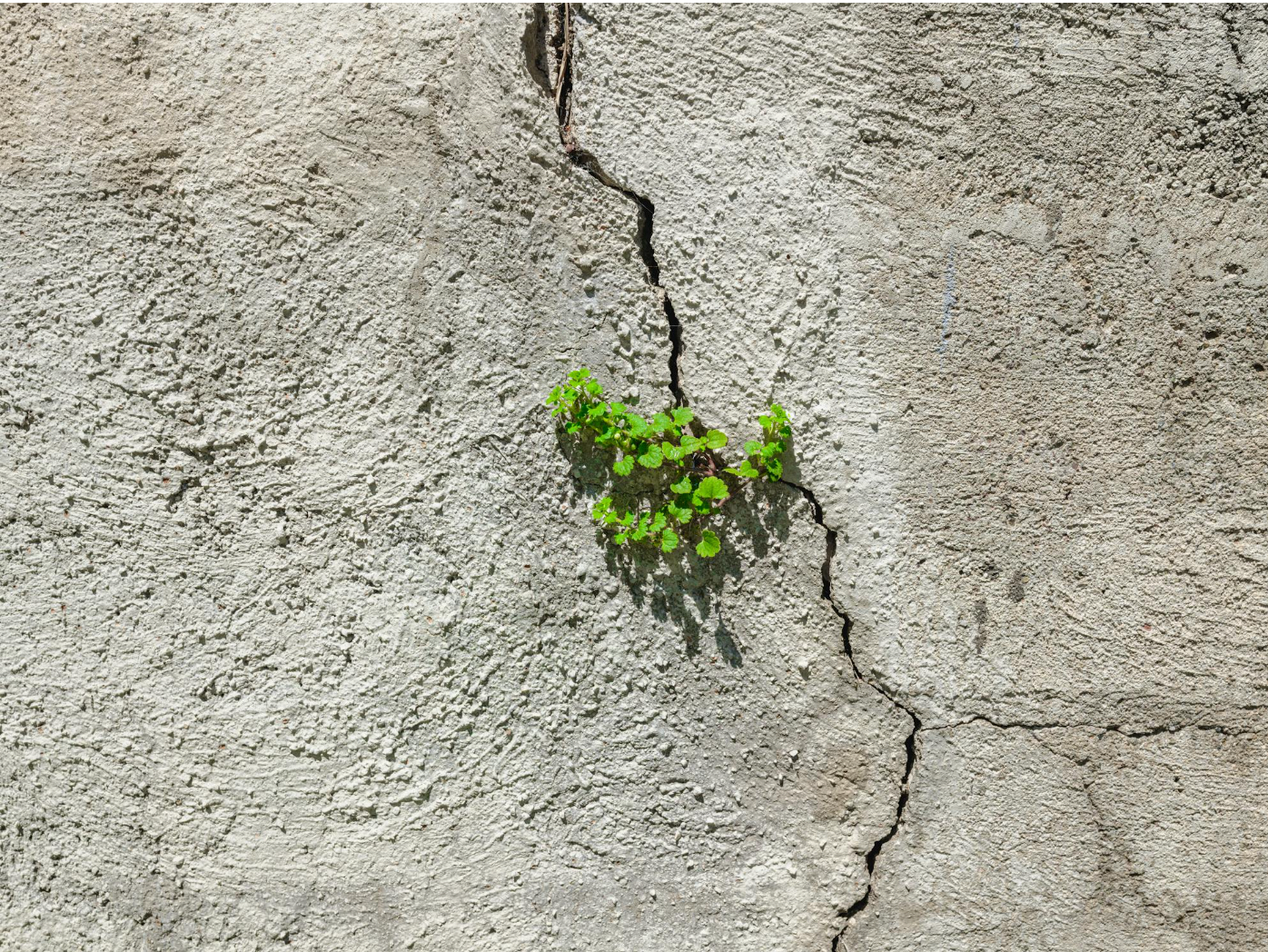 Concrete crack example needing repair in Renton WA