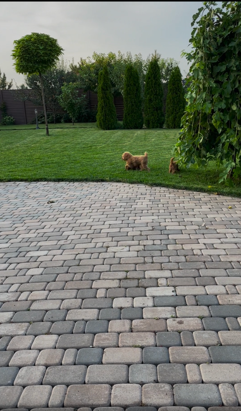 Concrete paver patio backyard installation in Renton WA